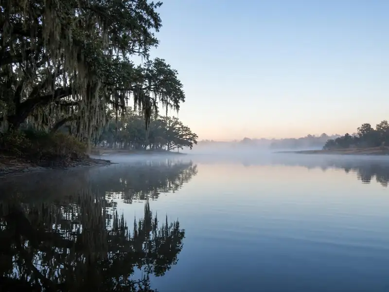 Misty lake at dawn framed by oaks draped in Spanish moss